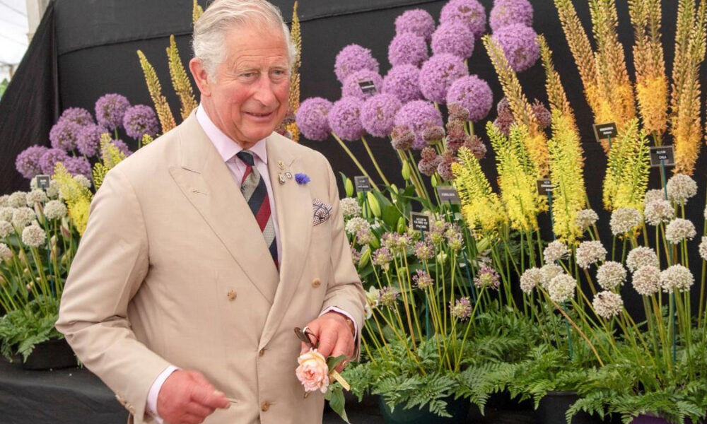 A well-dressed older man in a tan suit holds a pink rose while standing in front of a colorful flower display.