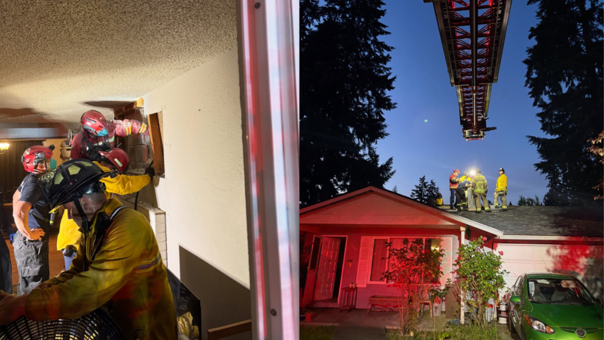Firefighters breach a wall inside a house while others stand on a roof with a ladder during a nighttime emergency travel scene.