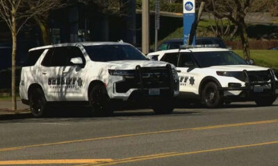 Two white sheriff patrol vehicles (SUV and sedan) parked along a street, with 'SHERIFF' markings and badge logos visible on the sides.