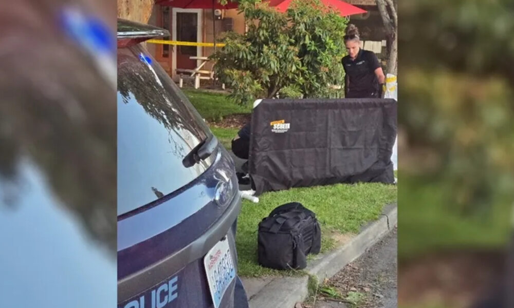 Police SUV with yellow tape; investigator behind a large black privacy screen near equipment on the grass and curbside.