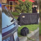 Police SUV with yellow tape; investigator behind a large black privacy screen near equipment on the grass and curbside.