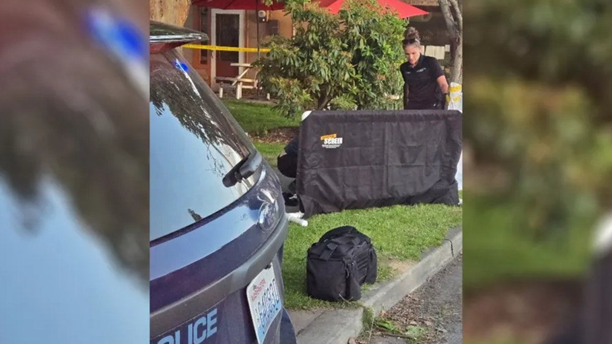 Police SUV with yellow tape; investigator behind a large black privacy screen near equipment on the grass and curbside.
