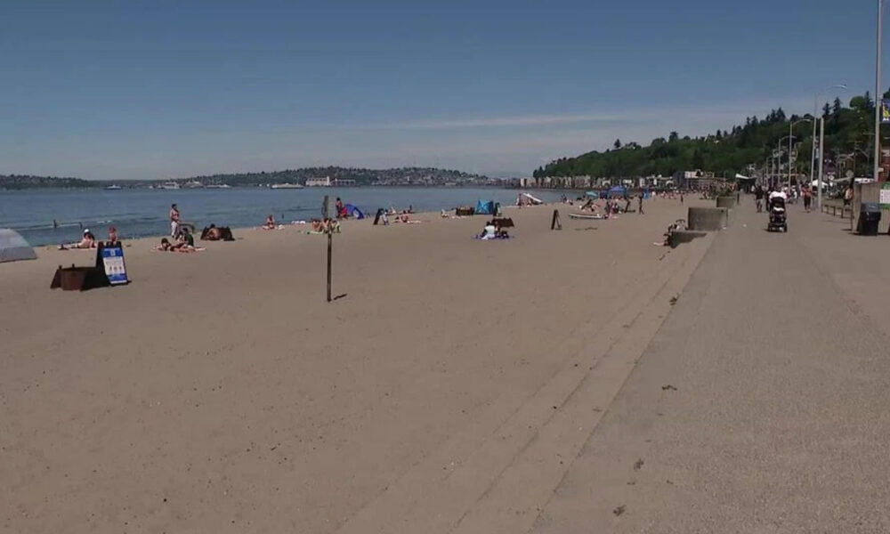 Sunlit sandy beach with people sunbathing along the shore and a paved promenade on the right side under a clear blue sky.