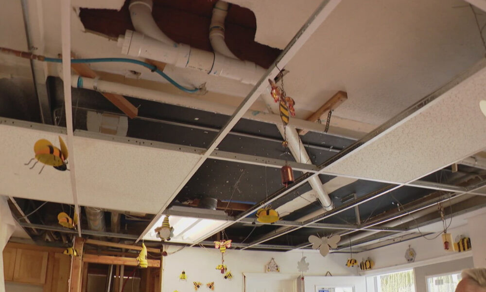 Ceiling with exposed pipes and missing tiles, plus hanging bee and butterfly decorations in a room under renovation.
