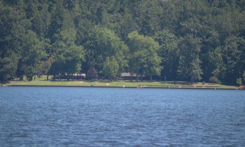 A calm lake with a grassy shoreline and dense trees beyond, under a clear sky.