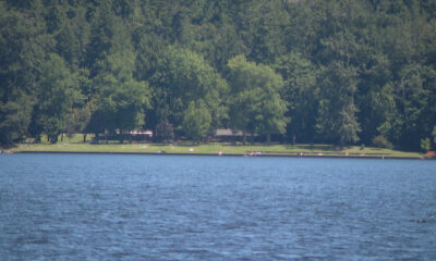 A calm lake with a grassy shoreline and dense trees beyond, under a clear sky.
