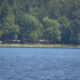 A calm lake with a grassy shoreline and dense trees beyond, under a clear sky.