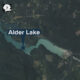 Aerial map of Alder Lake with a blue callout label reading 'Alder Lake' and a blue marker on the shore.