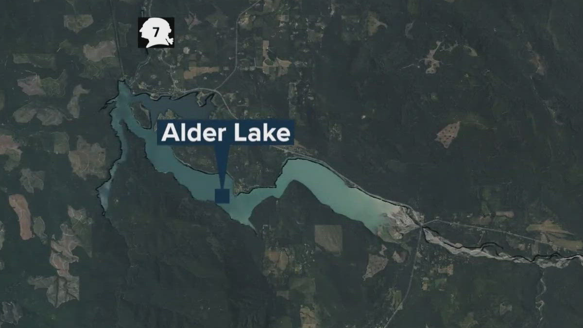 Aerial map of Alder Lake with a blue callout label reading 'Alder Lake' and a blue marker on the shore.