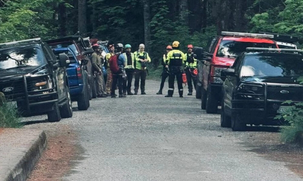 Group of emergency responders in high-visibility vests and helmets standing on a forest road between parked trucks.