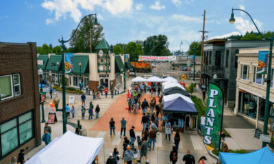 Crowd walking along a brick-paved street lined with vendor tents at a sunny town festival.