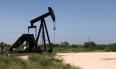 Oil pump jack in a dry, grassy field under a clear blue sky, with distant shrubs and utility poles nearby