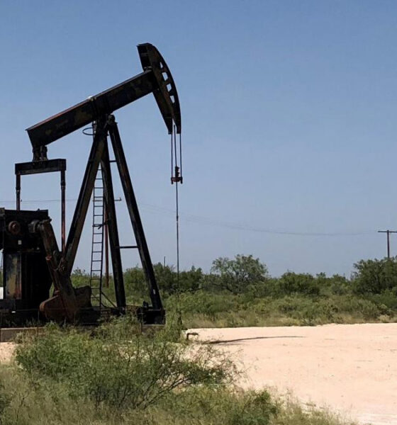 Oil pump jack in a dry, grassy field under a clear blue sky, with distant shrubs and utility poles nearby