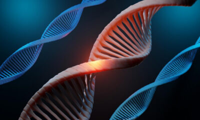 DNA double helix strands in blue with a glowing red segment highlighting a mutation site?