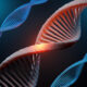 DNA double helix strands in blue with a glowing red segment highlighting a mutation site?