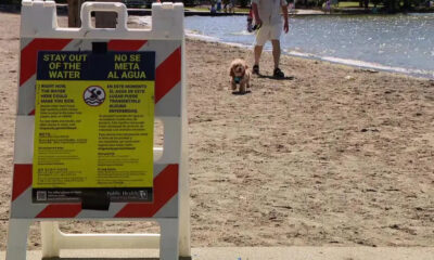Public health safety sign on a sandy beach with a person walking a small dog near the water.