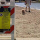 Public health safety sign on a sandy beach with a person walking a small dog near the water.