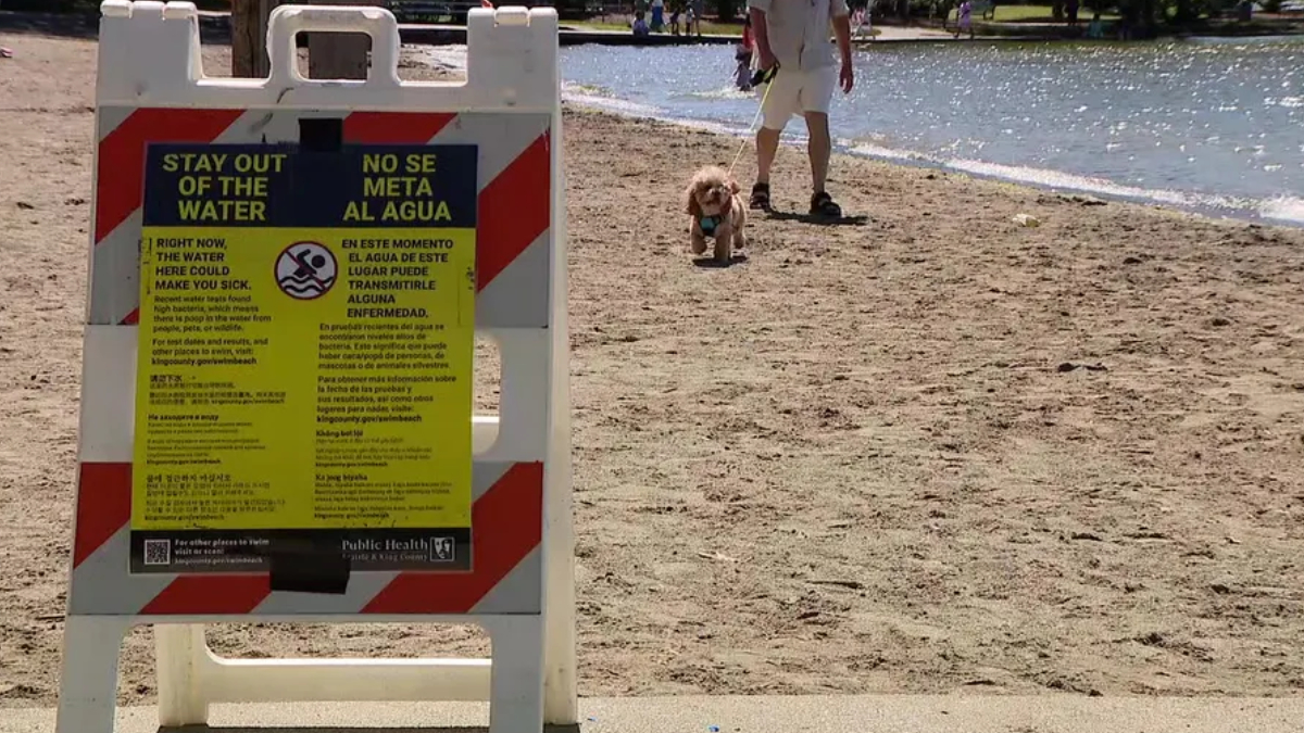 Public health safety sign on a sandy beach with a person walking a small dog near the water.