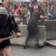 Man in a gray beanie and black clothing swings a wooden bat near a barricade at a crowded street event; onlookers surround the scene.