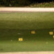 Nighttime outdoor range scene with small yellow numbered markers (21–27) placed on a grassy field.