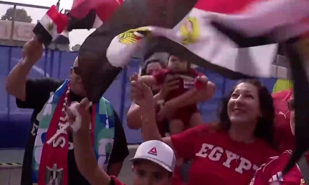 Group of fans celebrating, waving flags and scarves at a sports event.