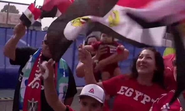Group of fans celebrating, waving flags and scarves at a sports event.