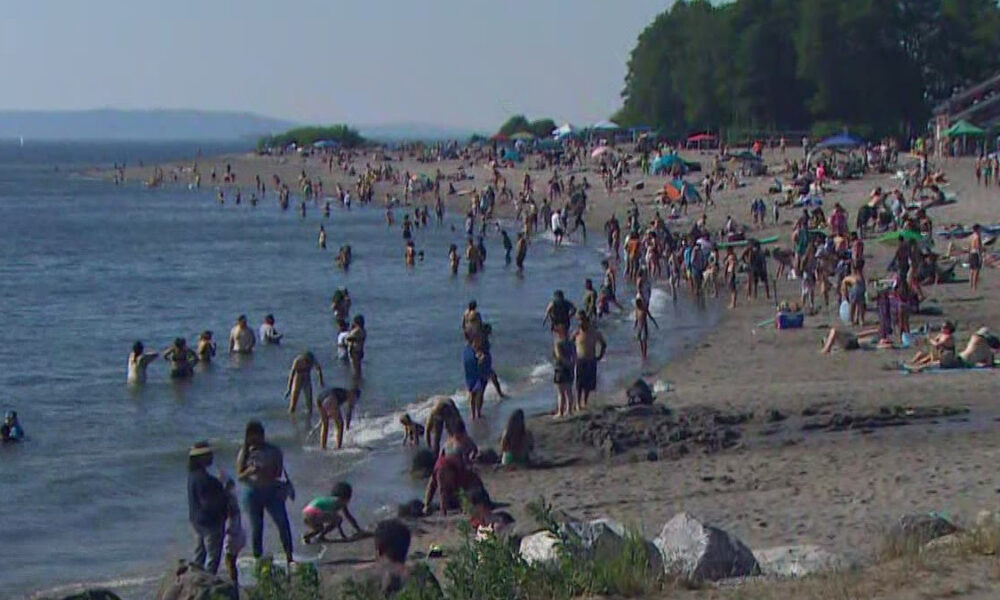 Crowded sandy beach along a calm shore with people swimming, wading, and sunbathing under umbrellas and trees in the distance.