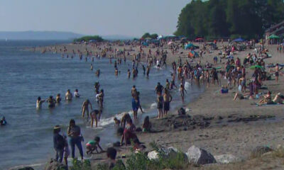 Crowded sandy beach along a calm shore with people swimming, wading, and sunbathing under umbrellas and trees in the distance.