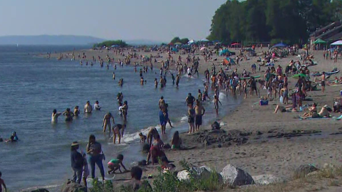 Crowded sandy beach along a calm shore with people swimming, wading, and sunbathing under umbrellas and trees in the distance.