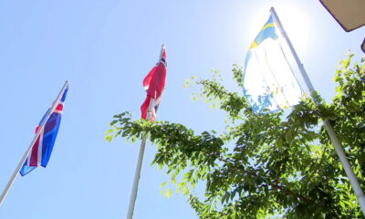 Three flags on tall poles fluttering above leafy green trees against a bright blue sky and sun glare.