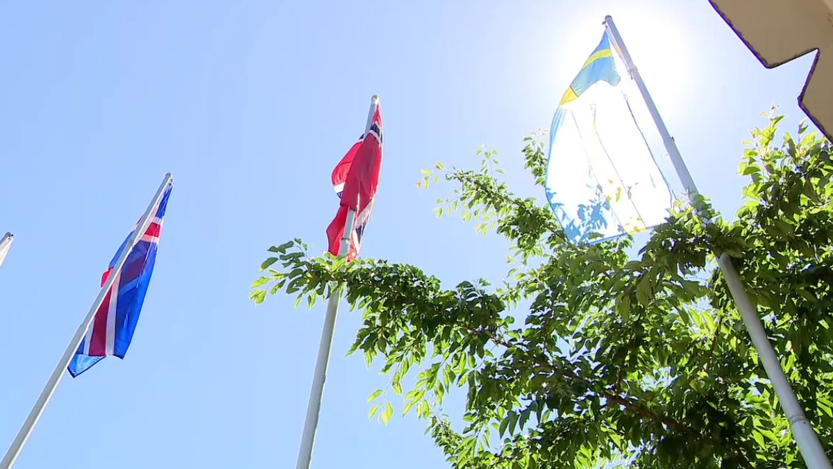 Three flags on tall poles fluttering above leafy green trees against a bright blue sky and sun glare.