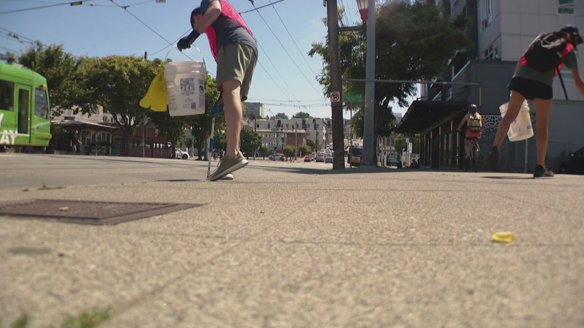 Volunteers collect litter on a sunny urban street, holding bags and a bucket while cleaning the sidewalk.
