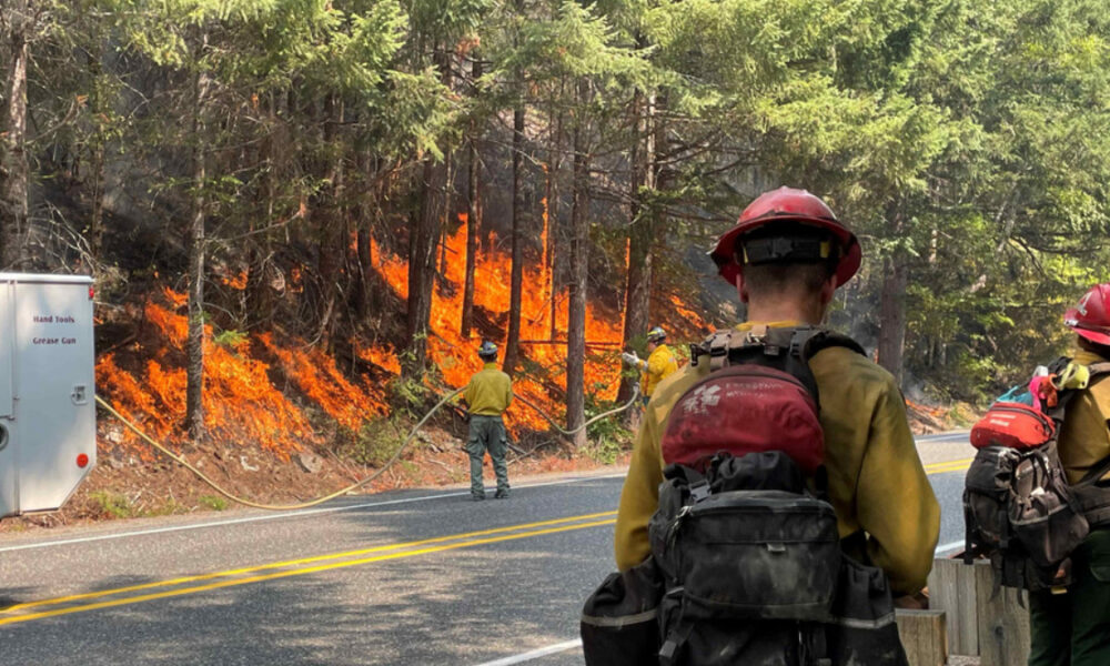Firefighters in yellow and red gear battling a forest fire along a roadside, flames visible behind trees.
