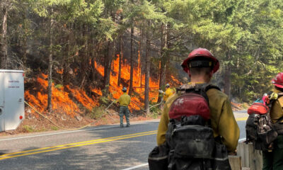 Firefighters in yellow and red gear battling a forest fire along a roadside, flames visible behind trees.