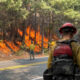 Firefighters in yellow and red gear battling a forest fire along a roadside, flames visible behind trees.