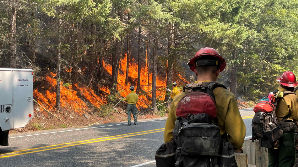Firefighters in yellow and red gear battling a forest fire along a roadside, flames visible behind trees.