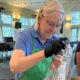 Older woman in a blue polo and green apron seals a plastic bag with a red label at a volunteer station in a bright, string-lit room.