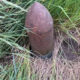 Rusty, cone-topped artillery shell half-buried in soil among tall grass.
