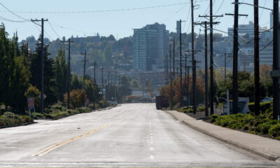 Empty urban street lined with utility poles and trees, stretching toward distant buildings and a clear blue sky.