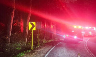 Night roadside scene with a yellow left-curve chevron sign beside a forest, and a fire truck with flashing red lights on a curved road central/right.