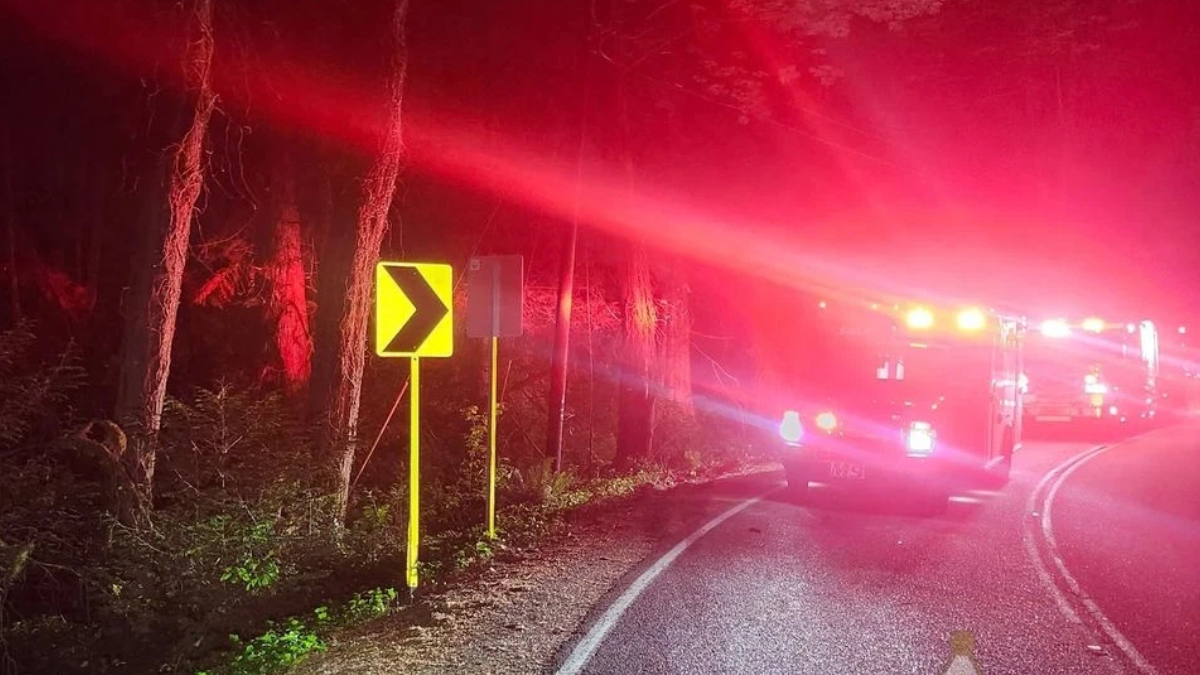 Night roadside scene with a yellow left-curve chevron sign beside a forest, and a fire truck with flashing red lights on a curved road central/right.