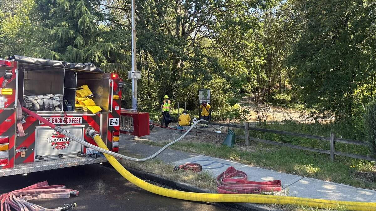 Fire engine with hoses connected to taps, firefighters in reflective gear near a tree-lined park area.