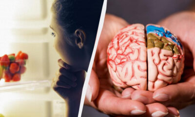 Child looking into an open fridge on the left, and a close-up of hands holding a detailed brain model on the right, split by a diagonal divider.
