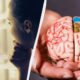 Child looking into an open fridge on the left, and a close-up of hands holding a detailed brain model on the right, split by a diagonal divider.
