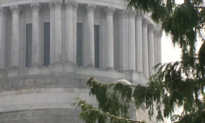 White marble neoclassical building with tall columns, partially obscured by green tree branches.