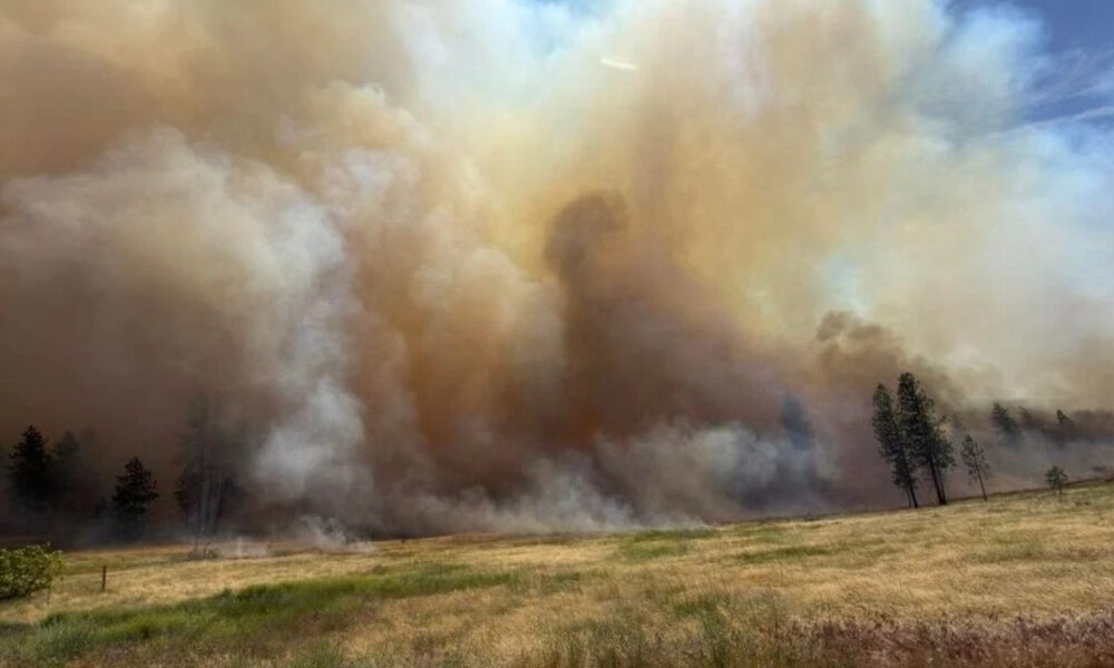 Wide open field with a colossal wildfire plume rising, brown-orange smoke fills the sky and sparse trees stand along the horizon on the right.