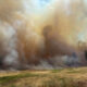 Wide open field with a colossal wildfire plume rising, brown-orange smoke fills the sky and sparse trees stand along the horizon on the right.