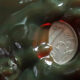 Close-up of a silver coin partially embedded in glossy green slime, with ornate designs visible on the coin.