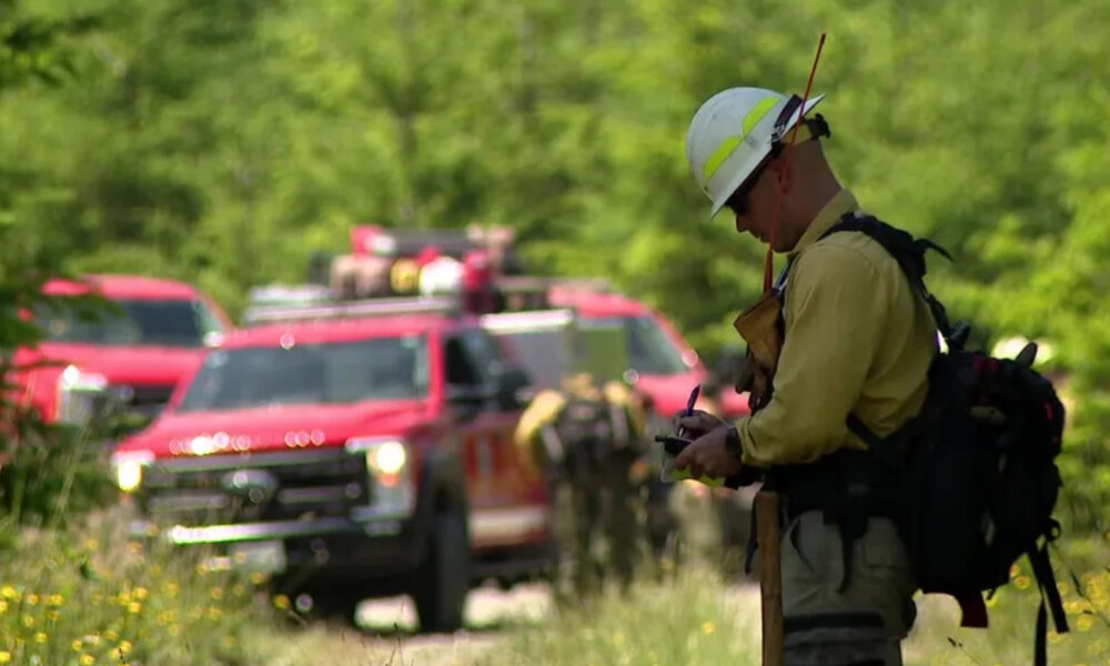 Firefighter in turnout gear with helmet checks a radio as red fire trucks respond on a forested rural road.