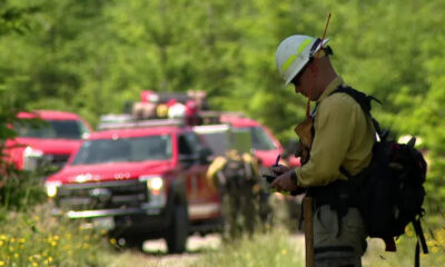 Firefighter in turnout gear with helmet checks a radio as red fire trucks respond on a forested rural road.